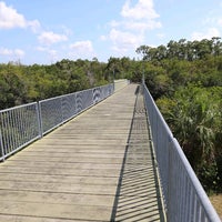 Foto tirada no(a) Rookery Bay National Estuarine Research Reserve por Scott L. em 3/23/2022