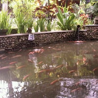 Photos At Makoya Dapur Bakar Indonesian Restaurant In Pandaan