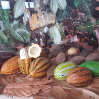 Das Foto wurde bei Kakaw, Museo del cacao &amp;amp; chocolatería cultural von ᴡ a. am 3/18/2019 aufgenommen