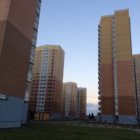 Синявинская, 11, корп. Улица синявинская дом 11. Синявинская улица, 11к6. 11, корп. Молжаниново синявинская улица.