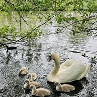 Photo taken at Weald Country Park by Miss R. on 5/13/2023