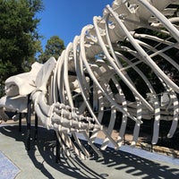 Das Foto wurde bei Santa Barbara Museum Of Natural History von Xiao M. am 7/1/2019 aufgenommen