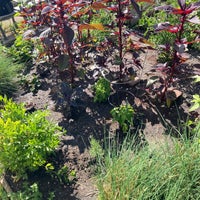 Photo taken at Lincoln Square Community Garden by Casey M. on 7/12/2020