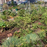 Photo taken at Lincoln Square Community Garden by Casey M. on 8/30/2021