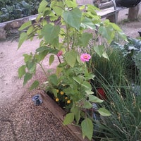 Photo taken at Lincoln Square Community Garden by Casey M. on 7/8/2018