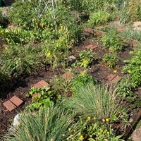 Photo taken at Lincoln Square Community Garden by Casey M. on 8/2/2021