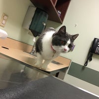 East mill cheap plain vet clinic