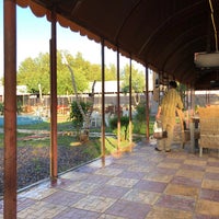 Кафе шамс курчатов