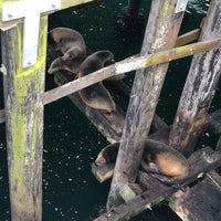 Photo taken at Santa Cruz Wharf by Yanagspb on 5/10/2019