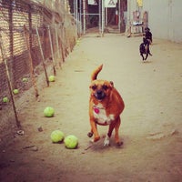Photo taken at TBWA\Chiat\Day Dog Park by Annie J. on 10/24/2012