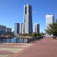 運河パーク みなとみらい21 595人の訪問者 運河パーク みなとみらい21 595人の訪問者