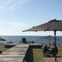 Cafe Mare マーレ 福井市 福井県 Cafe Mare マーレ 福井市 福井県