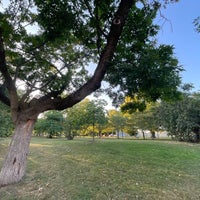 Photo taken at Trinity Bellwoods Park by Darcy on 9/20/2023