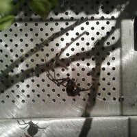 Photo taken at Spiders Alive by Darcy on 12/16/2012