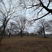 Photo taken at Trinity Bellwoods Park by Darcy on 12/20/2023