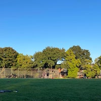 Photo taken at Trinity Bellwoods Park by Darcy on 9/20/2023