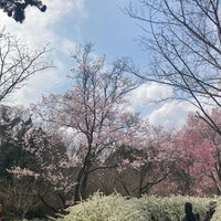 Photo taken at Kyoto Botanical Garden by キョウヨ on 3/31/2024