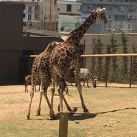 Photo taken at Faruk Yalçın Hayvanat Bahçesi by Uğur on 7/24/2016