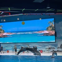 Photo taken at Dubai Dolphinarium by Yasser ⁸. on 8/10/2022