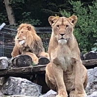 Photo taken at Zoo Duisburg by alxxrt on 10/19/2018