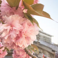 Photo taken at 京大生協カフェテリア ルネ by みゅんへん on 4/17/2015