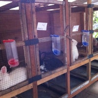 Photo taken at Dura Rabbit Farm by Ajeng on 12/9/2012