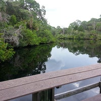 Photo taken at Oscar Scherer State Park by Elizabeth V. on 7/13/2013