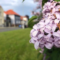 Photo taken at Mělník by Anastasia G. on 5/29/2021