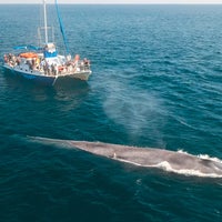 Foto diambil di Capt. Dave&amp;#39;s Dana Point Dolphin &amp;amp; Whale Watching Safari oleh Capt. Dave&amp;#39;s Dana Point Dolphin &amp;amp; Whale Watching Safari pada 3/18/2020