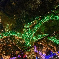 Photo taken at Zoo Lights by Jean L. on 11/23/2020