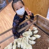 インナー シティ ズー ノア Noah The Inner City Zoo 横浜市のペットショップ