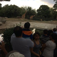 Foto scattata a Zoológico de Chapultepec da Ivonnita il 10/8/2017