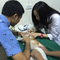 Photo taken at Thonglor Pet Hospital by ᑭOᑎ on 8/7/2016