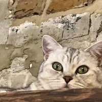 Photo taken at London Cat Village by Ade O. on 8/27/2017