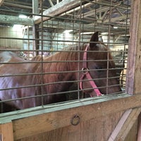 รูปภาพถ่ายที่ Watkins Ranch โดย Cheryl E. เมื่อ 6/16/2016