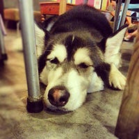 Photo taken at Doggiestyle Cafe by Xinyu F. on 1/23/2013
