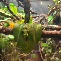 Photo taken at Regenstein Small Mammal &amp;amp; Reptile House by Beth S. on 9/4/2023