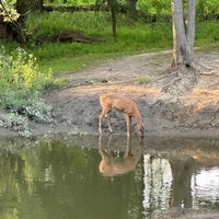 Photo taken at Bunker Hill Forest Preserve by Beth S. on 8/19/2023