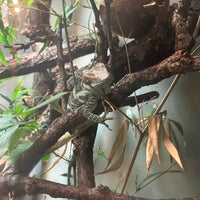 Photo taken at Regenstein Small Mammal &amp;amp; Reptile House by Beth S. on 9/4/2023