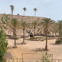 Photo taken at Oasis Park Fuerteventura by Andreas U. on 8/30/2022