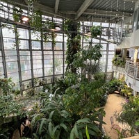 渋谷区 ふれあい植物センター Jardin Botanico En 渋谷区