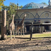 Photo taken at Tiergarten by Vic on 10/18/2023