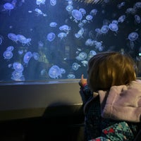 Photo taken at Aquarium Berlin by Vic on 10/18/2023