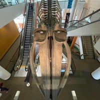 Foto diambil di Denver Museum of Nature and Science oleh Dimka pada 5/6/2023