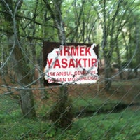 Снимок сделан в Geyik Üretme İstasyonu пользователем Murat P. 10/21/2012