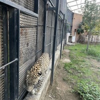 Photo taken at Tehran Zoo by Mehdi .. on 9/25/2023
