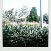 Photos At Taman Buah Undaan Park