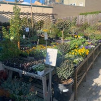 Photo taken at Sloat Garden Center by Sylvie on 12/19/2020