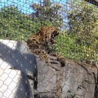 Photo taken at San Diego Zoo by Giselle Y. on 2/16/2017