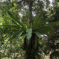 Foto tomada en Australian National Botanic Gardens  por Auri el 11/24/2018